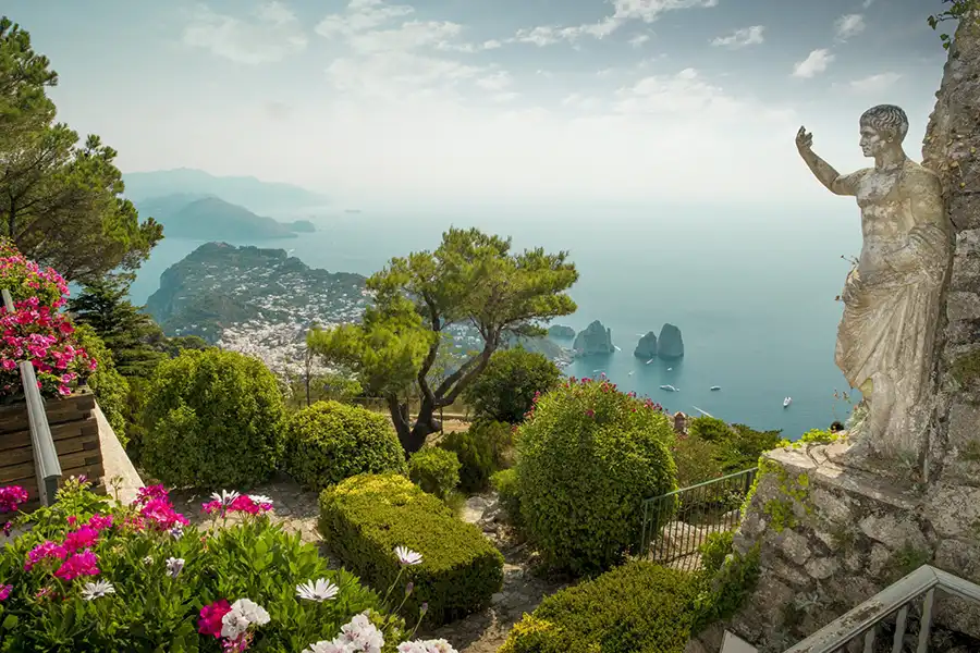 Africa with Zebras in field